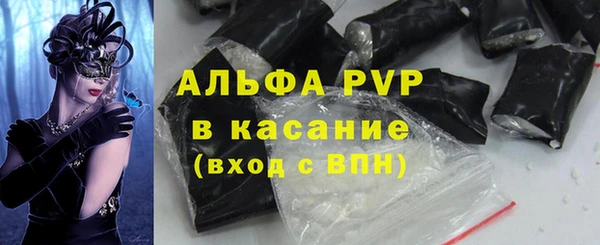 сатива Бородино