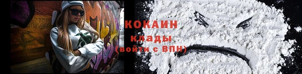 сатива Бородино