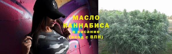 сатива Бородино