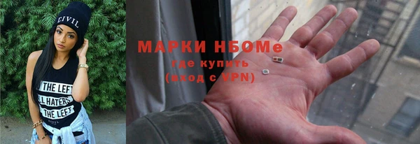 сатива Бородино