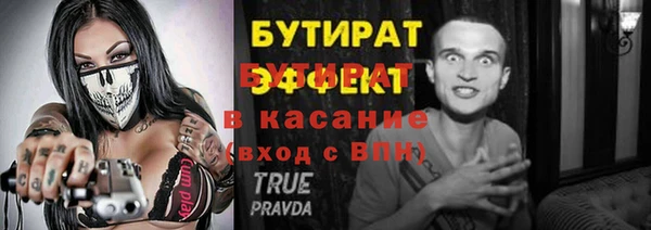сатива Бородино