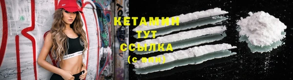 сатива Бородино