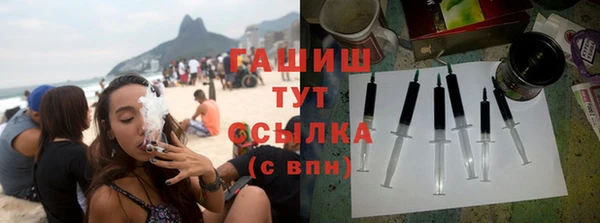 сатива Бородино