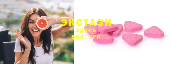 сатива Бородино