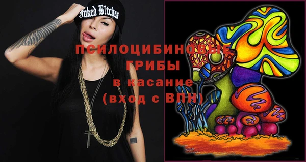 сатива Бородино