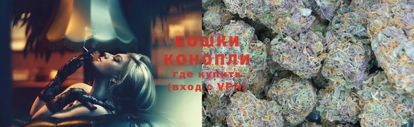 сатива Бородино