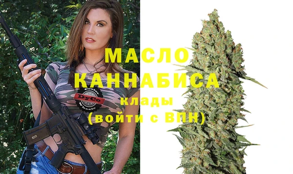 сатива Бородино