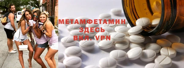сатива Бородино