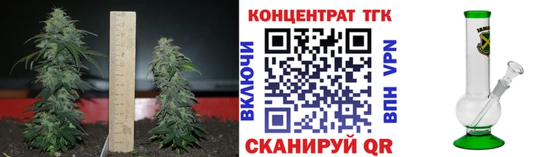 закладка  Черкесск  ТГК Wax 